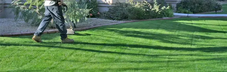 Grass Cutting