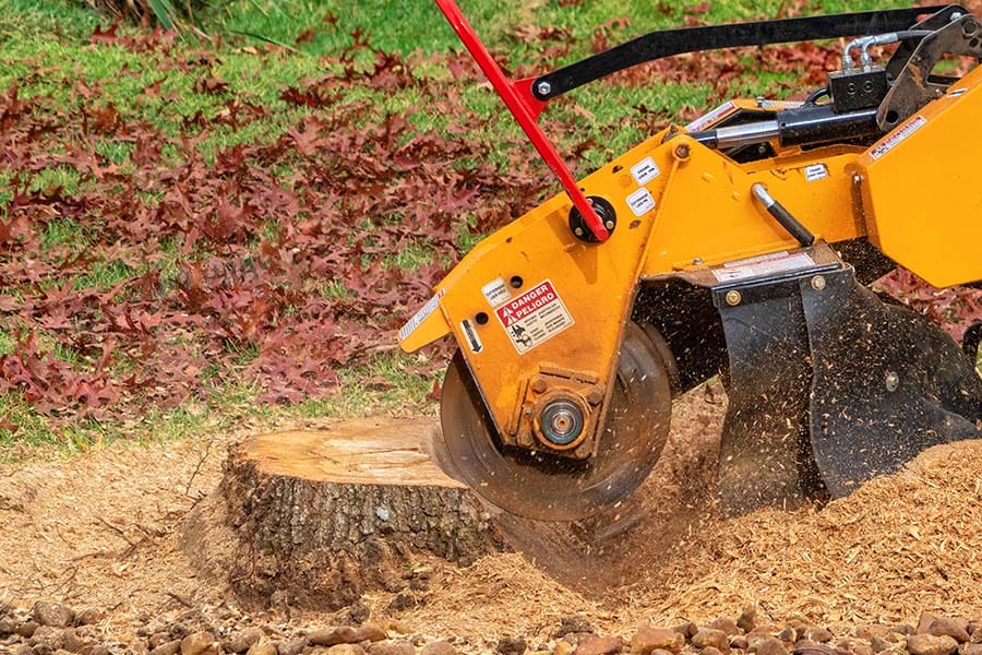 Tree Stump Grinding