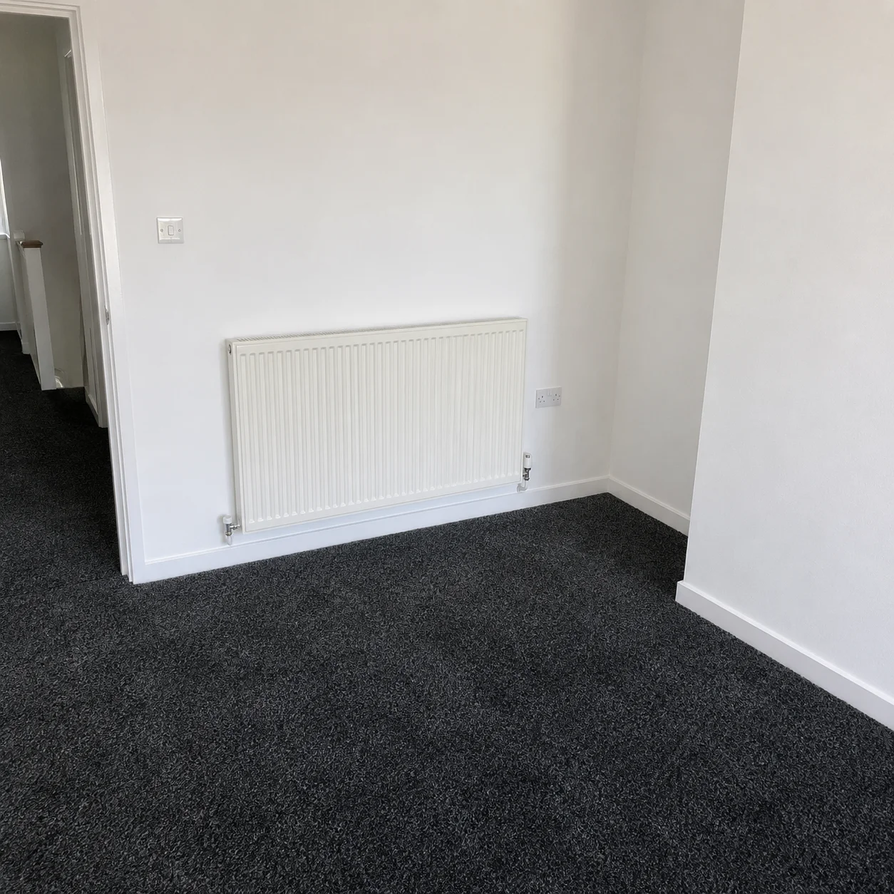 Damp to a living room wall recorded during a damp survey in Flintshire