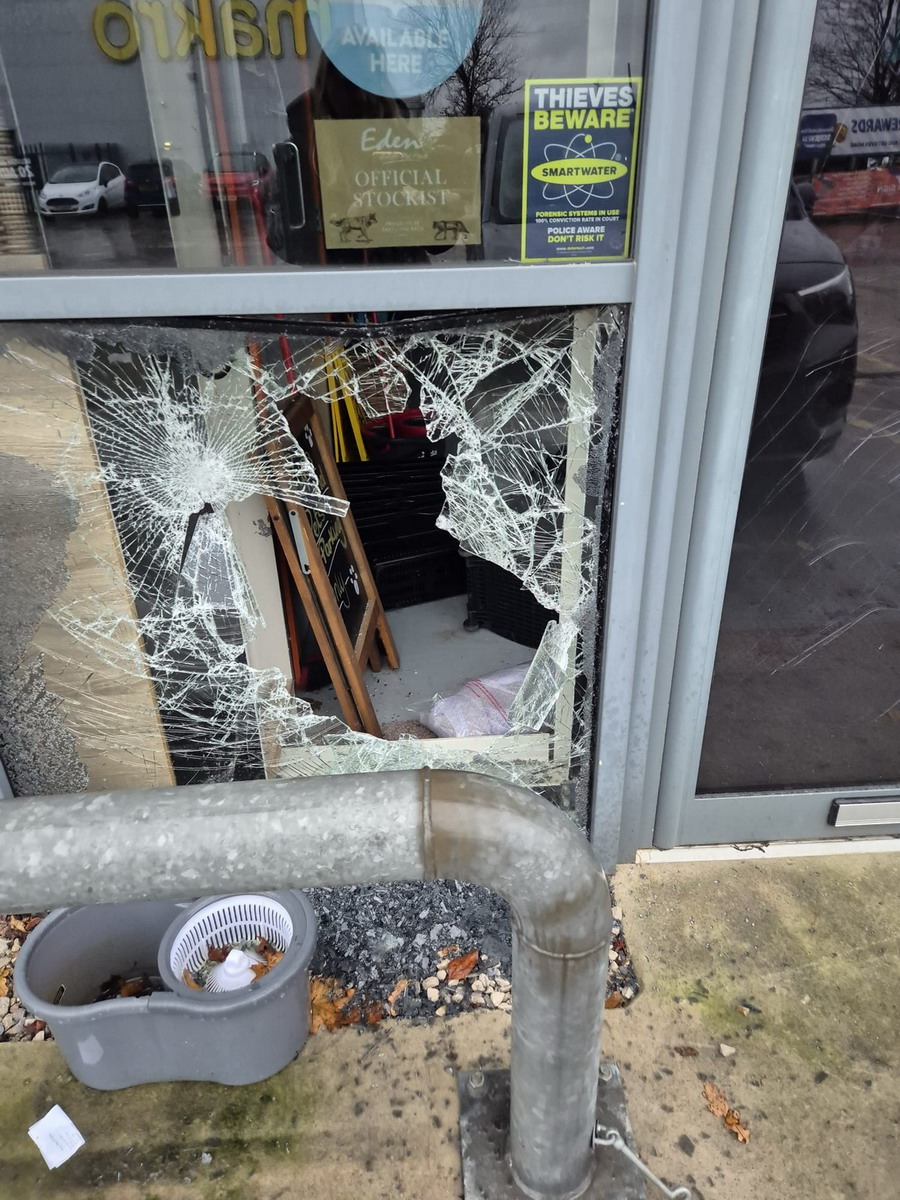 Emergency Window Repair 3