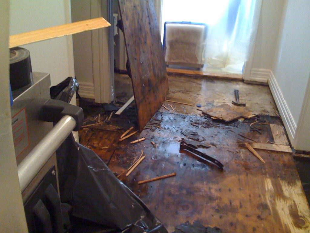 Common Flood Damage Issues