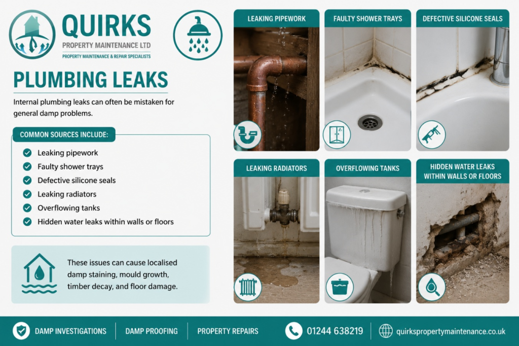 Plumbing Leaks