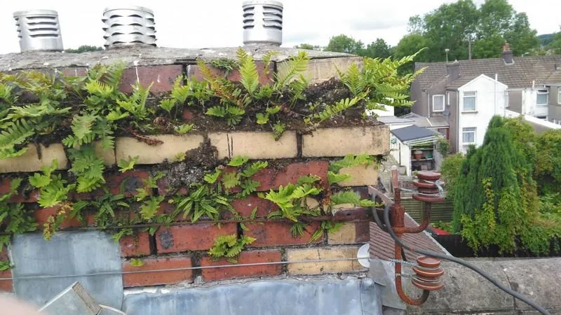 Rebuilt chimney stack on an exposed elevation in Heswall, Wirral