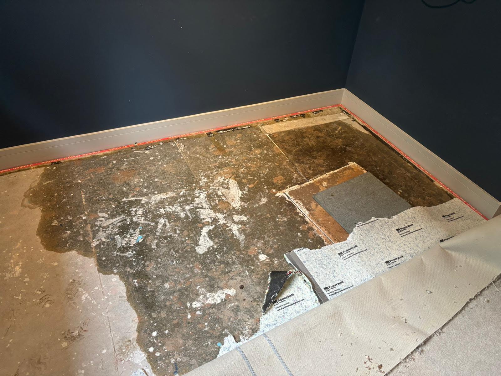 Carpet and underlay pulled back to reveal a heavily stained, water-damaged subfloor during a flood damage investigation