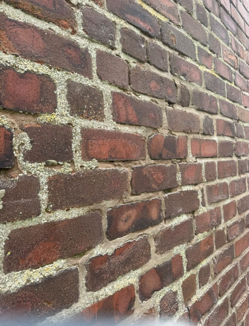 Close-up of eroded mortar joints with lichen and moss growth in a solid brick wall