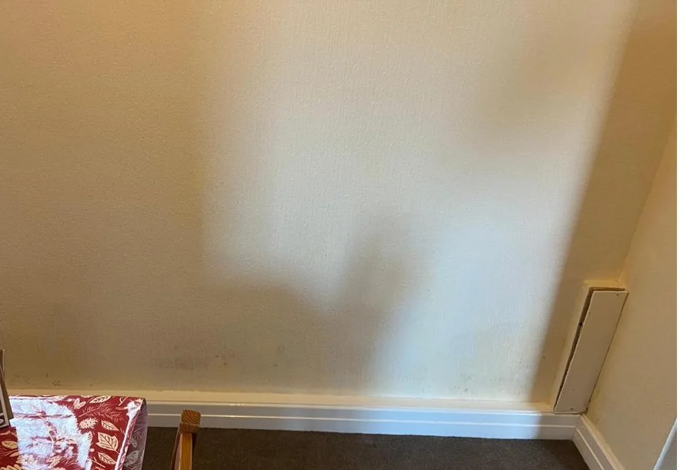 Damp staining on a ground-floor wall before damp proofing in Deeside