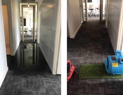 Flooded office corridor before and during drying with air movers