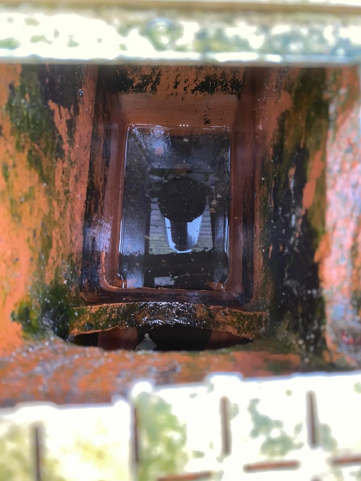 Looking down into a yard gully holding standing water and silt at the foot of a downpipe