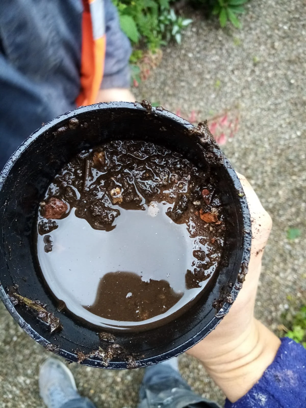 Section of cast-iron downpipe held in a hand, packed solid with silt, grit and leaf litter and holding standing water