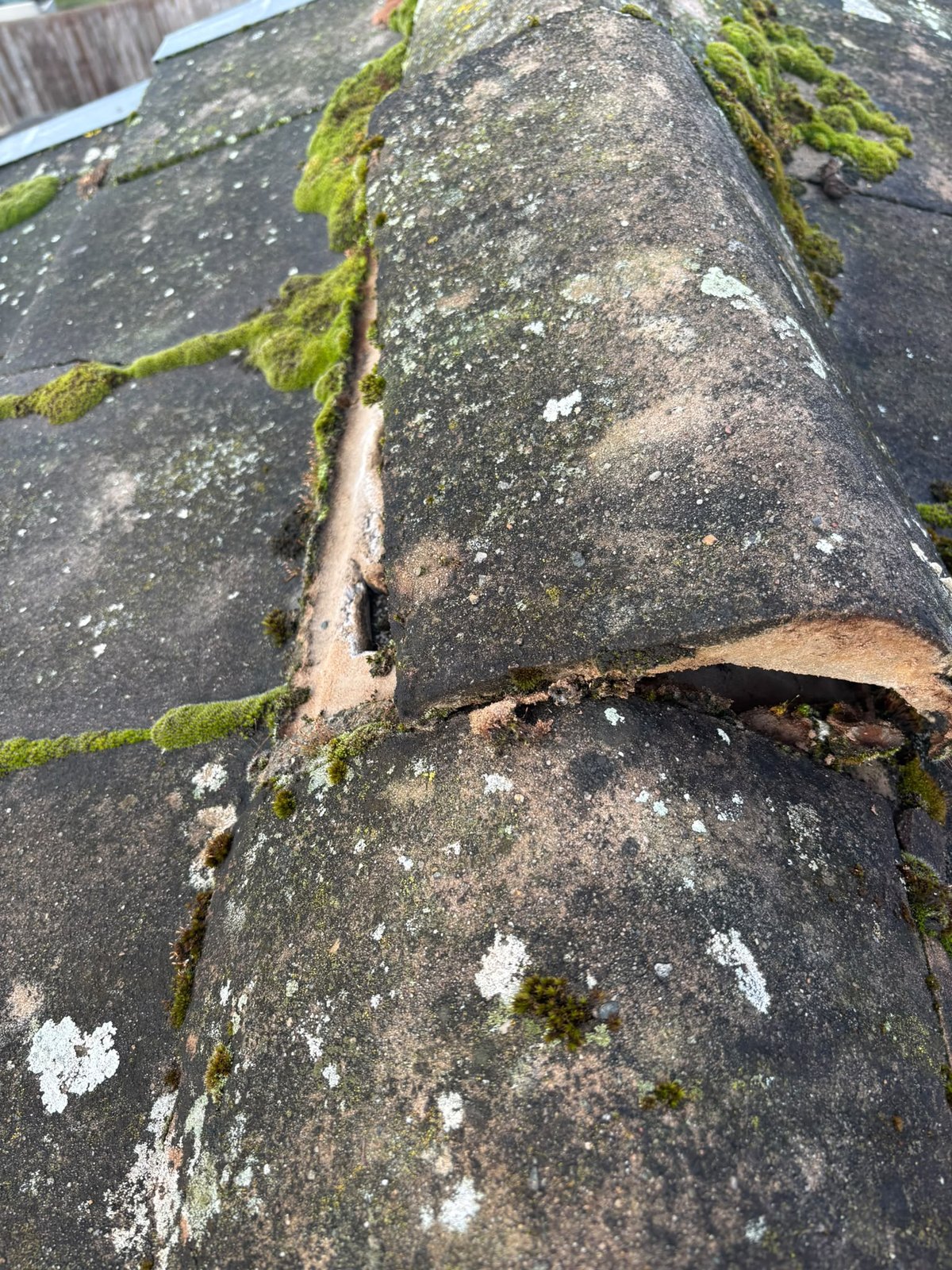 Ridge tile on a concrete tiled roof with the mortar bedding broken away, leaving an open gap along the ridge