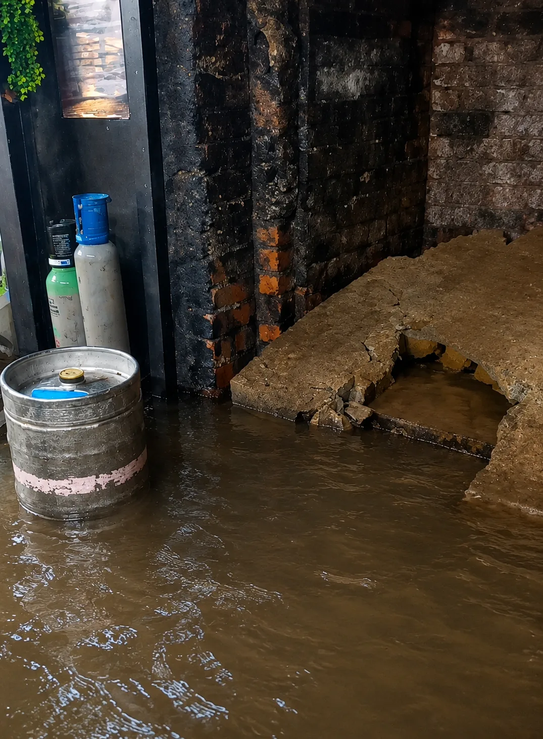 Illustration of a flooded beer cellar with kegs, dispense lines and standing water