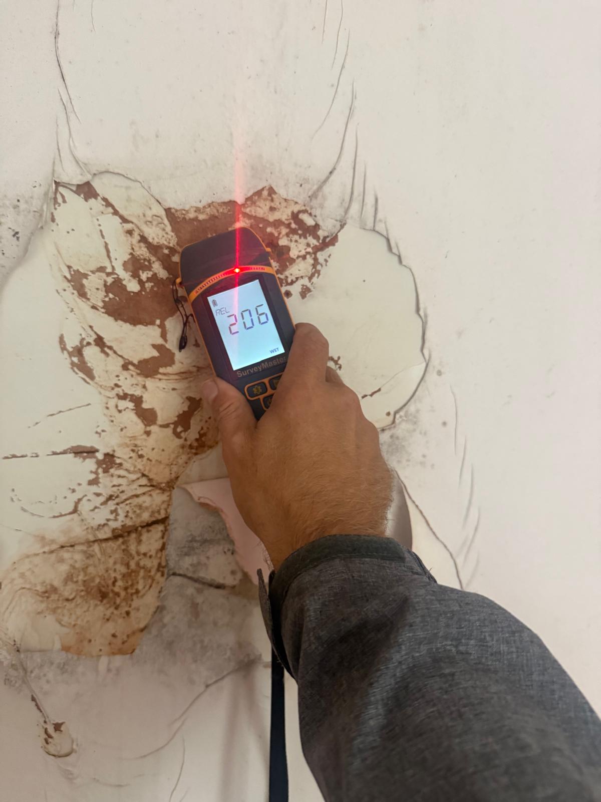 Damp survey moisture meter checking wall moisture
