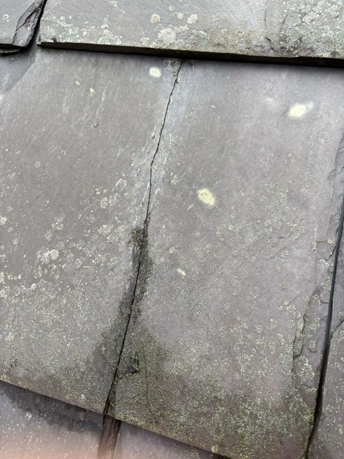 Close-up of a roof slate with a crack running down its length