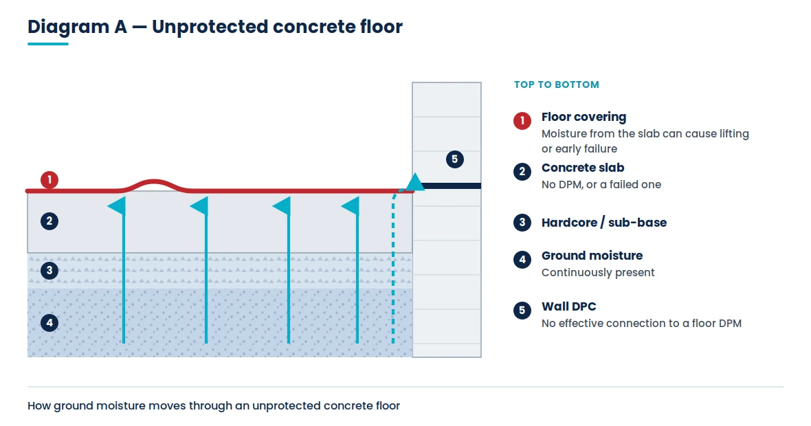 Diagram showing how ground moisture moves up through an unprotected concrete floor with no damp proof membrane
