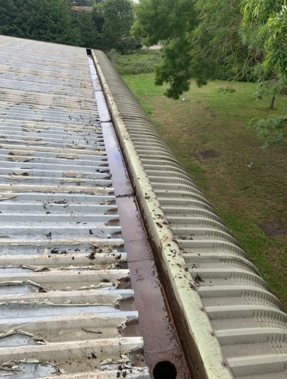 Commercial box gutter on a corrugated roof holding standing water and debris