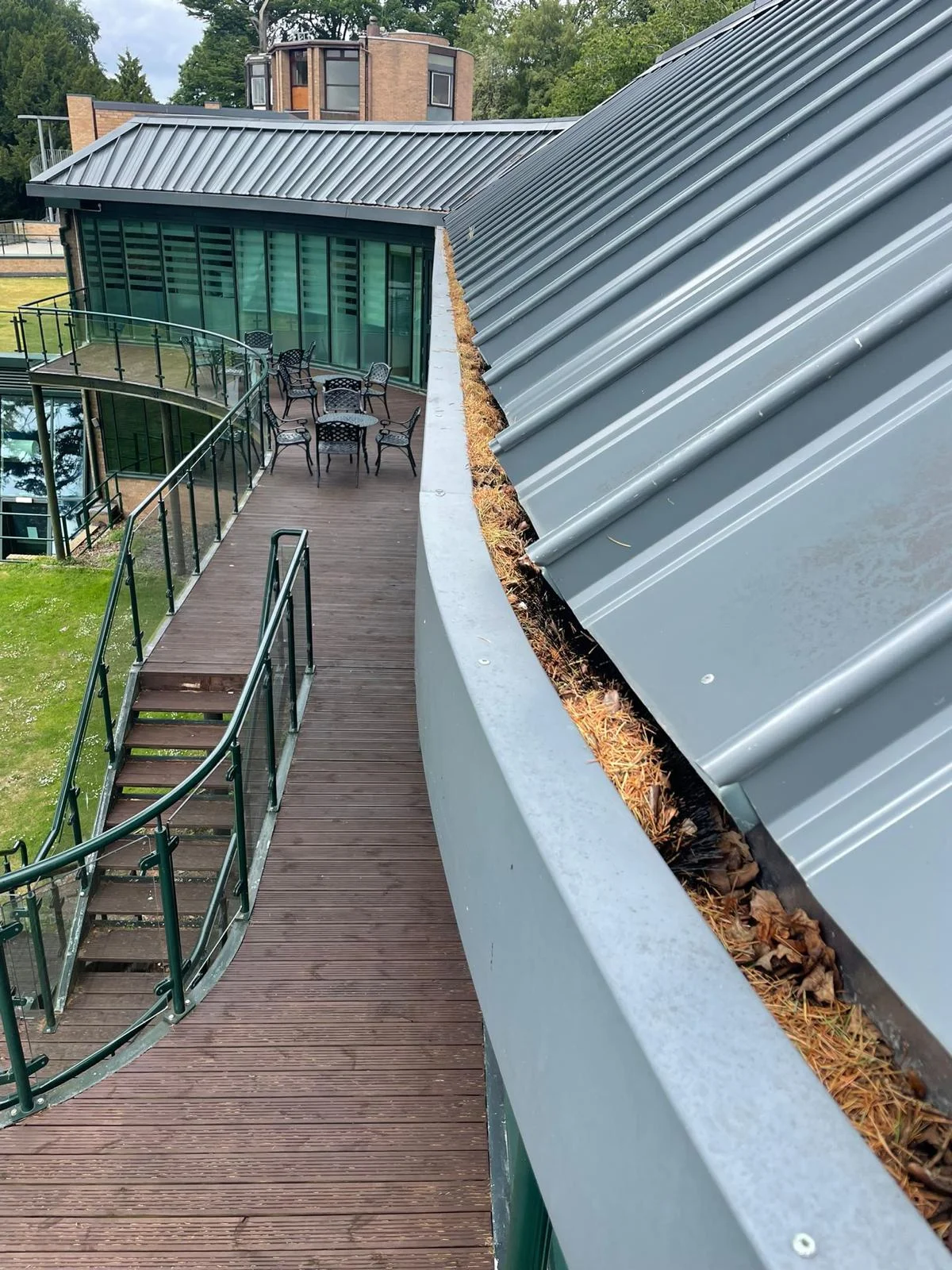 Gutter on a modern commercial building filled with pine needles, seen from roof level