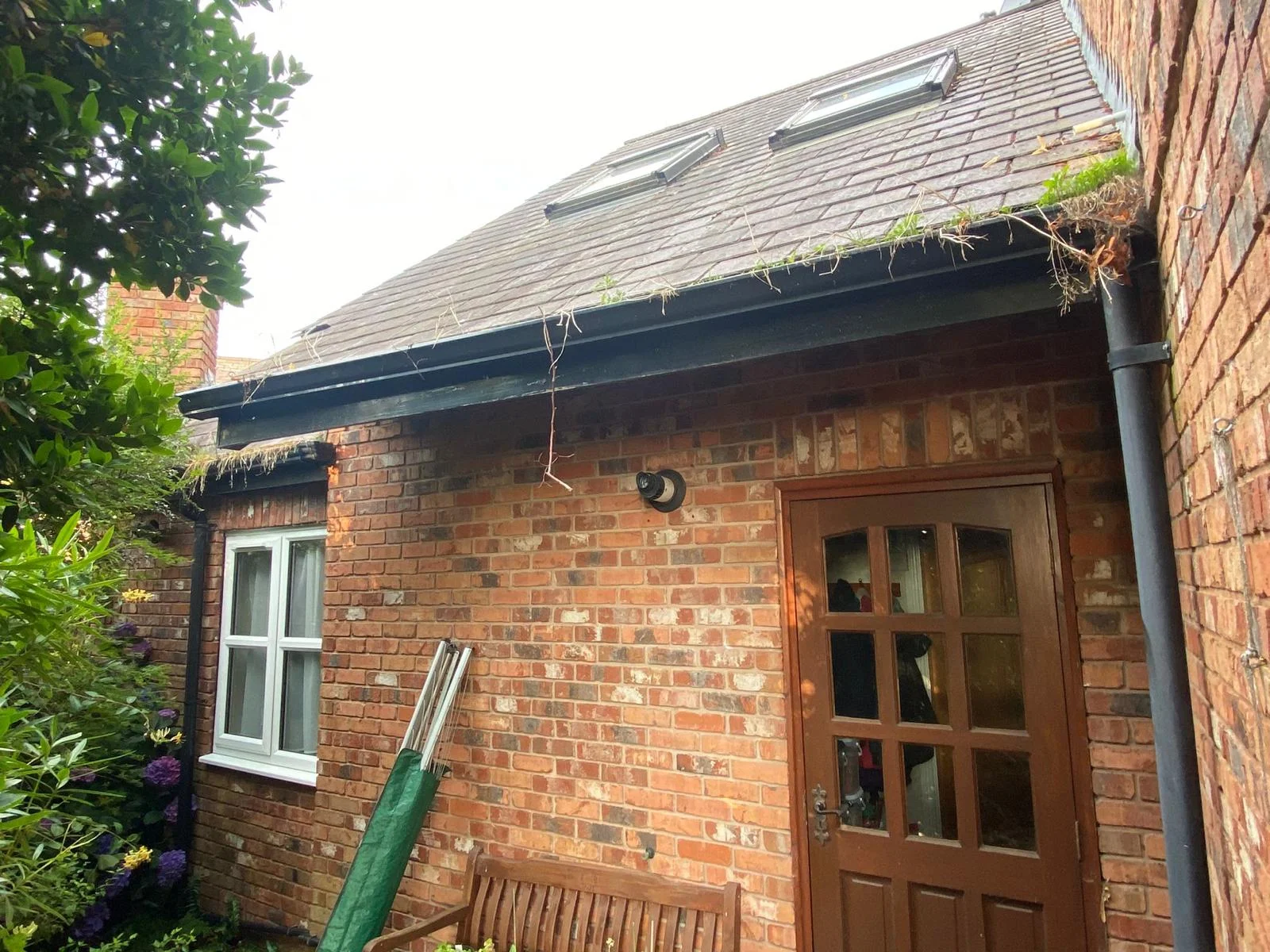 Gutter on a brick outbuilding with grass and weeds growing out of it along the roof edge