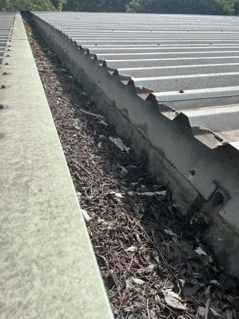 Industrial roof gutter filled with fallen leaves and debris beside a corrugated roof sheet