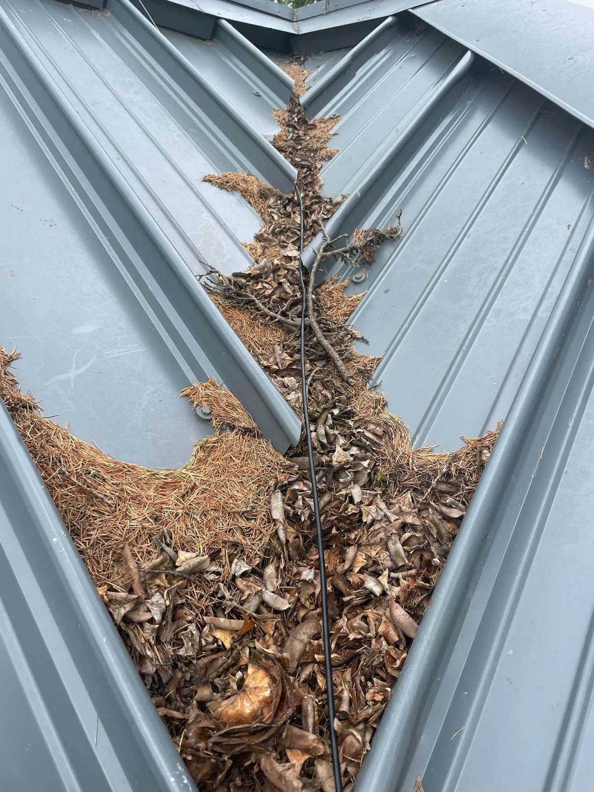 Metal roof valley gutter packed with fallen leaves and pine needles