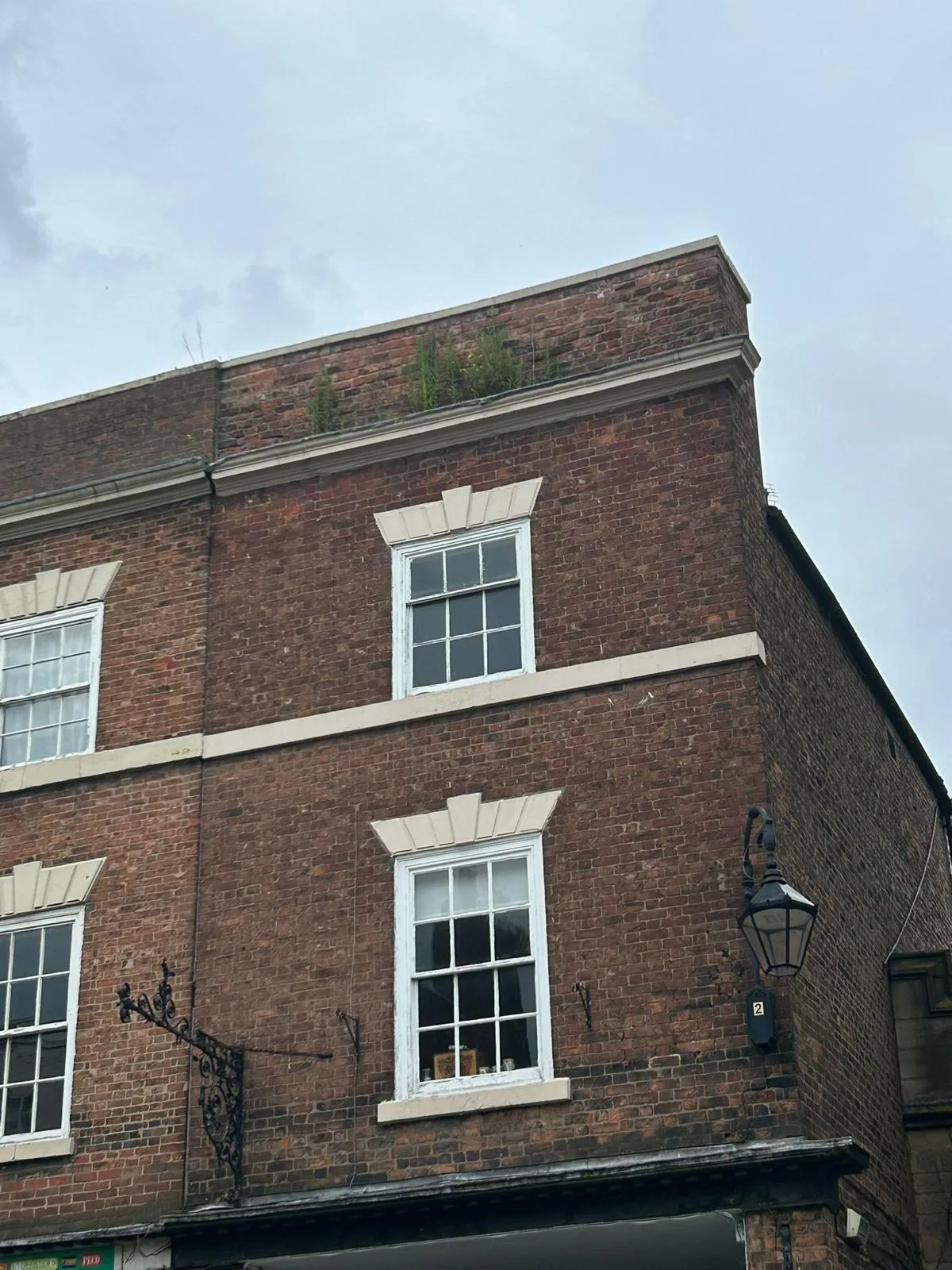 Plants growing out of the parapet gutter line of a Georgian brick building