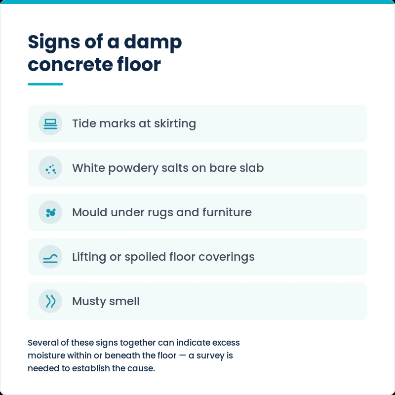 Graphic showing the common signs of a damp concrete floor