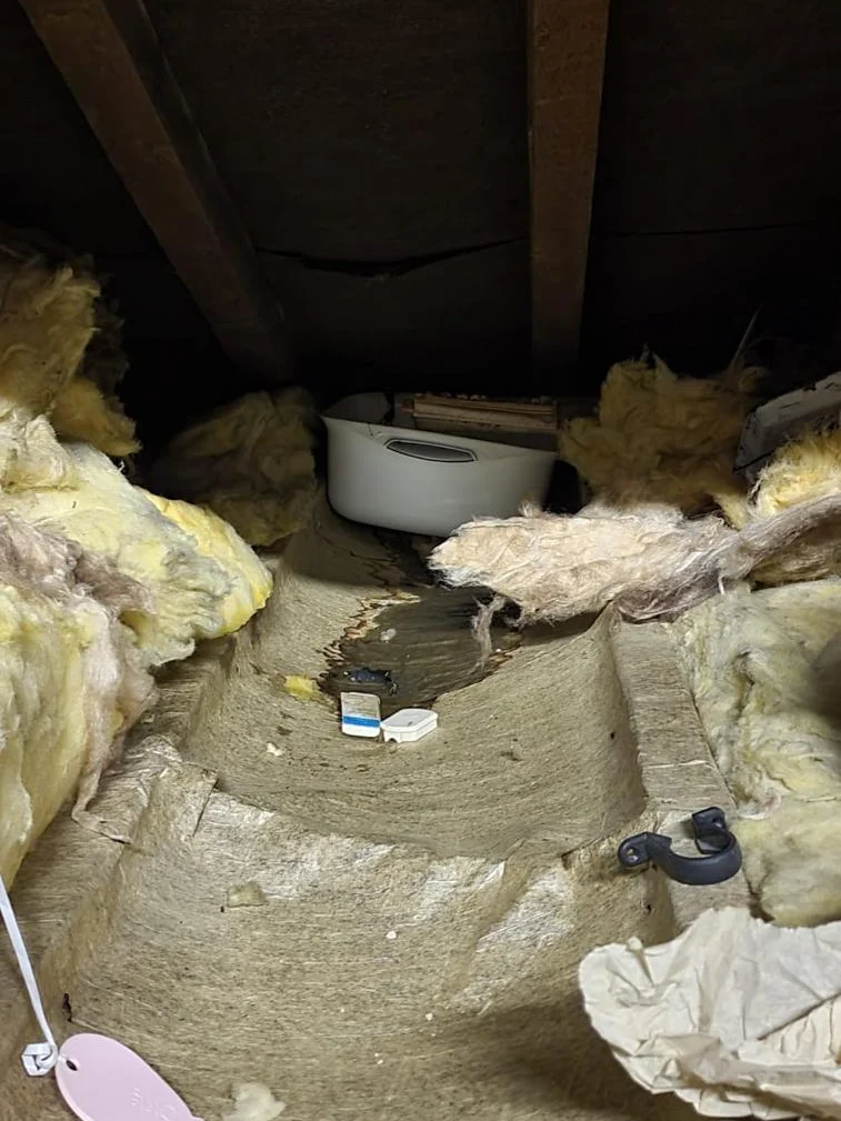 Inside a loft, looking along the rafters over the insulation towards the water tank