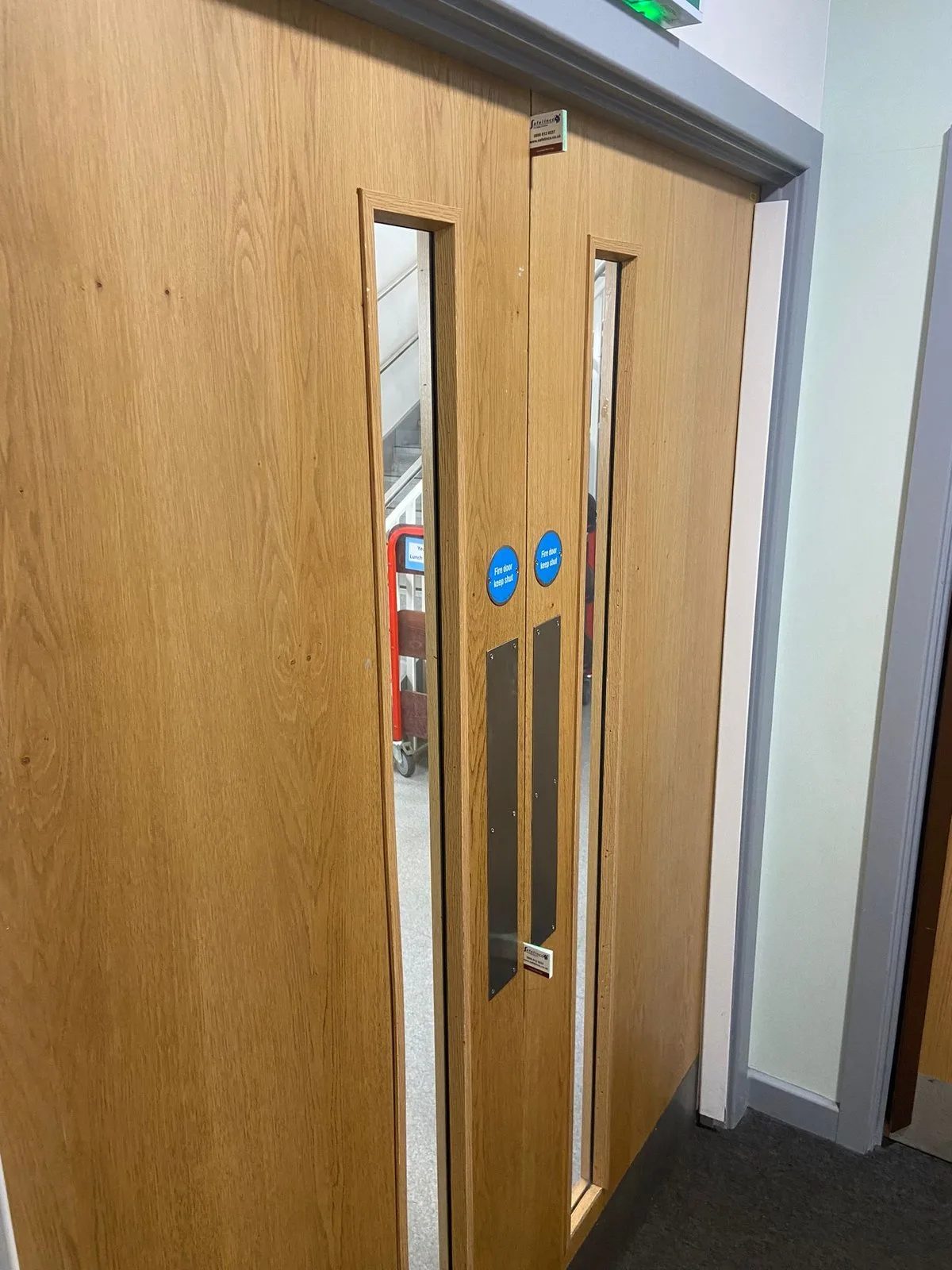 Oak fire door pair with vision panels and push plates in a school corridor