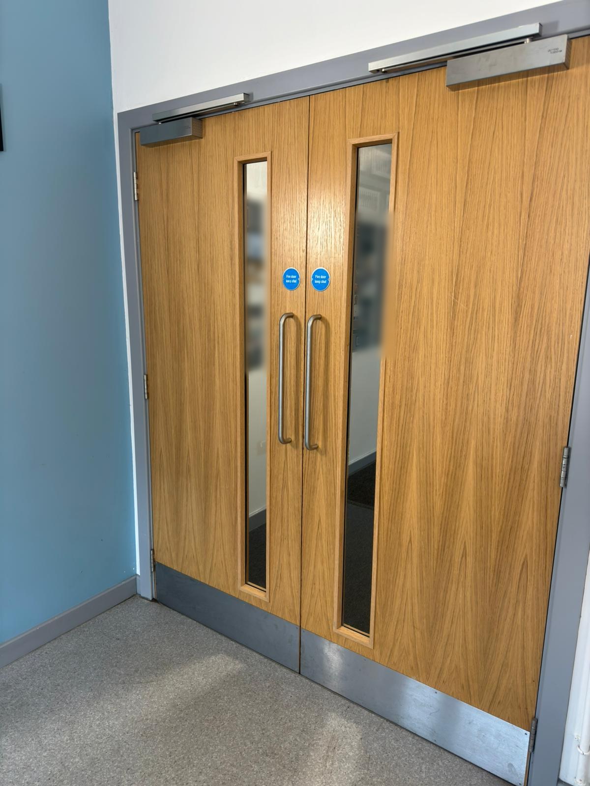 Pair of oak-veneered fire doors with overhead closers, vision panels, pull handles and kick plates