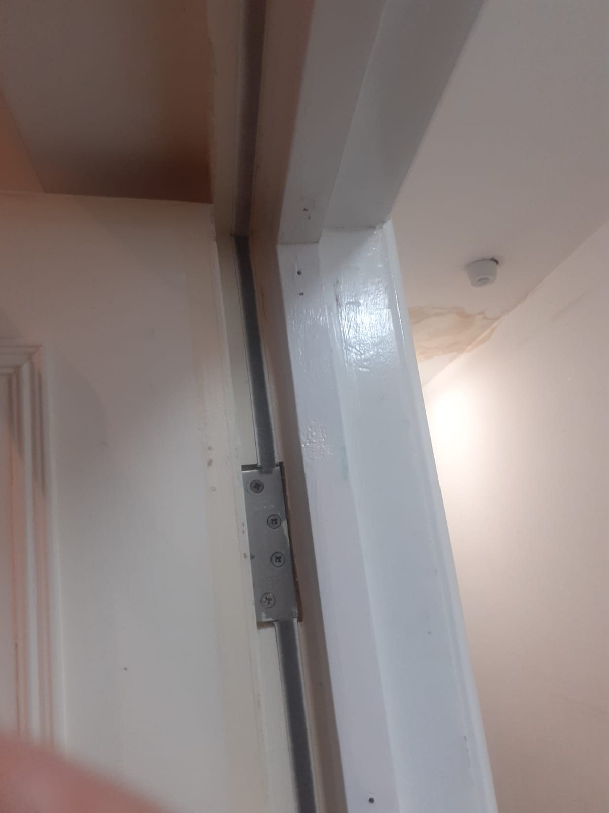 New hinge screwed to a white door frame
