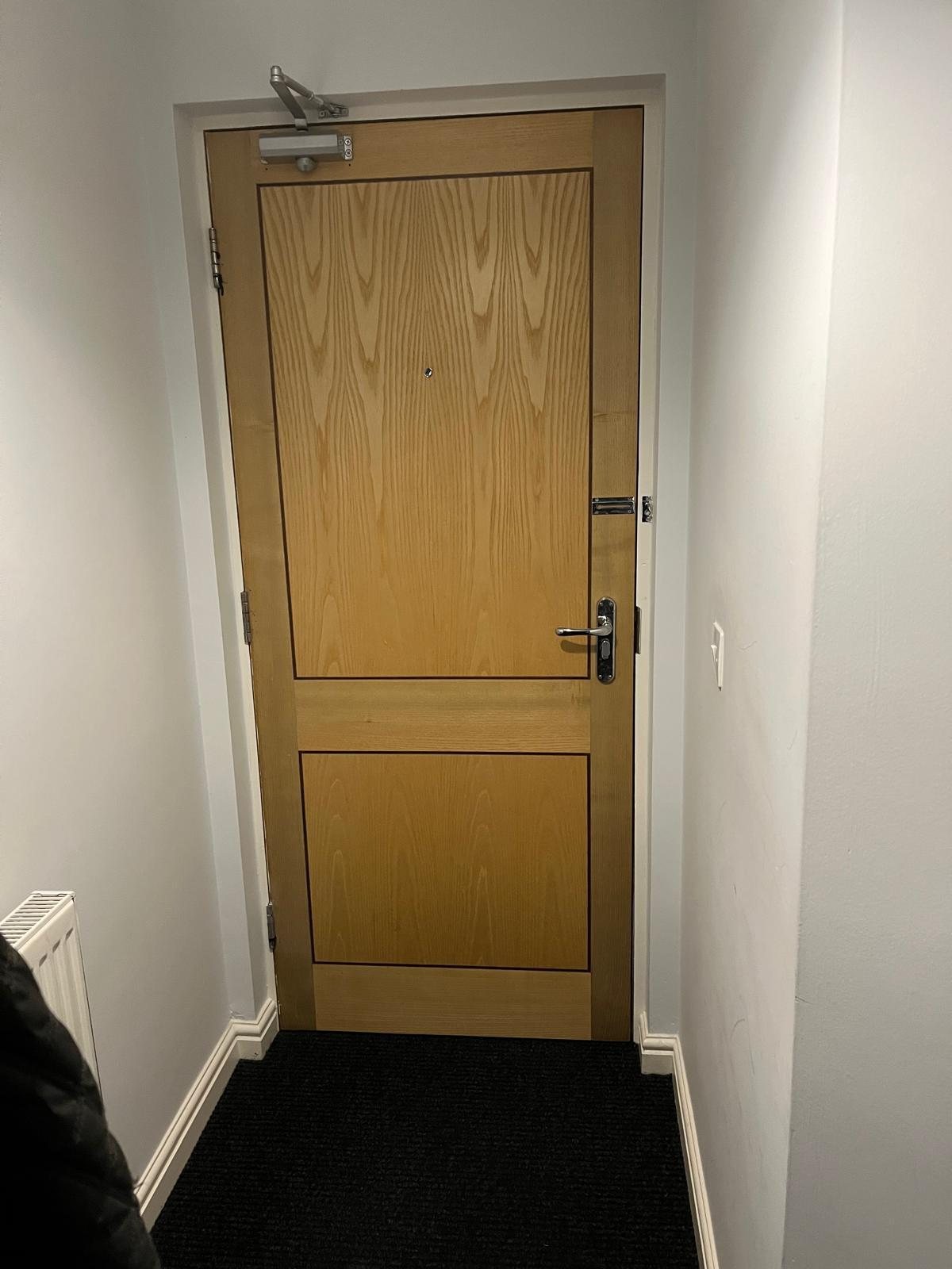 Flat entrance fire door with an overhead closer, spyhole and letter plate