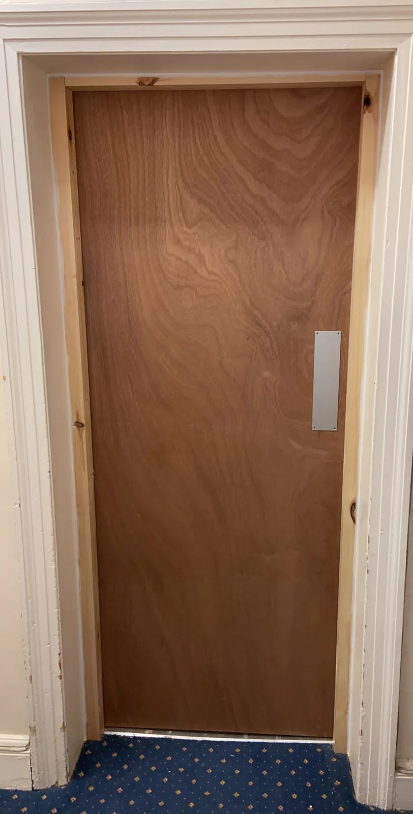 Plywood-faced fire door with a push plate in a new softwood lining, inside an existing moulded architrave