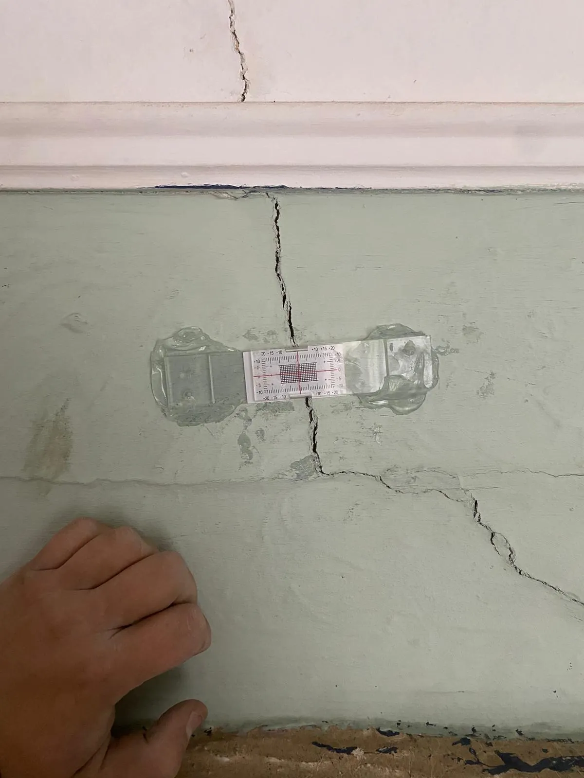 Crack monitor fixed across a vertical crack in painted plaster beneath a cornice