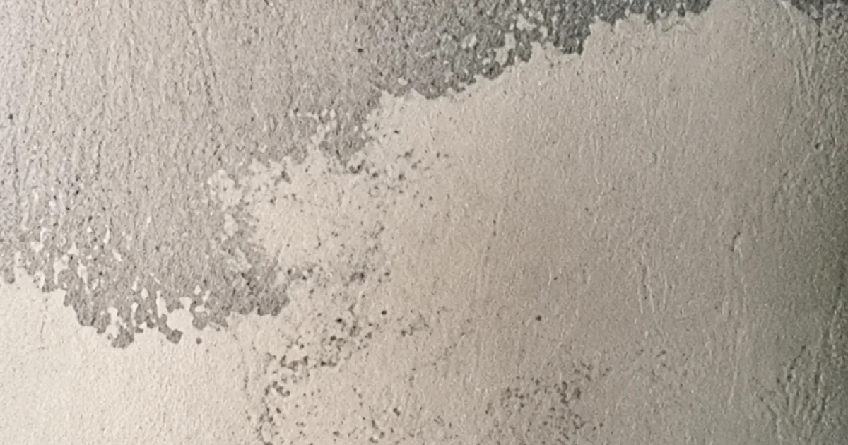 Penetrating damp investigation on brick wall in Chester