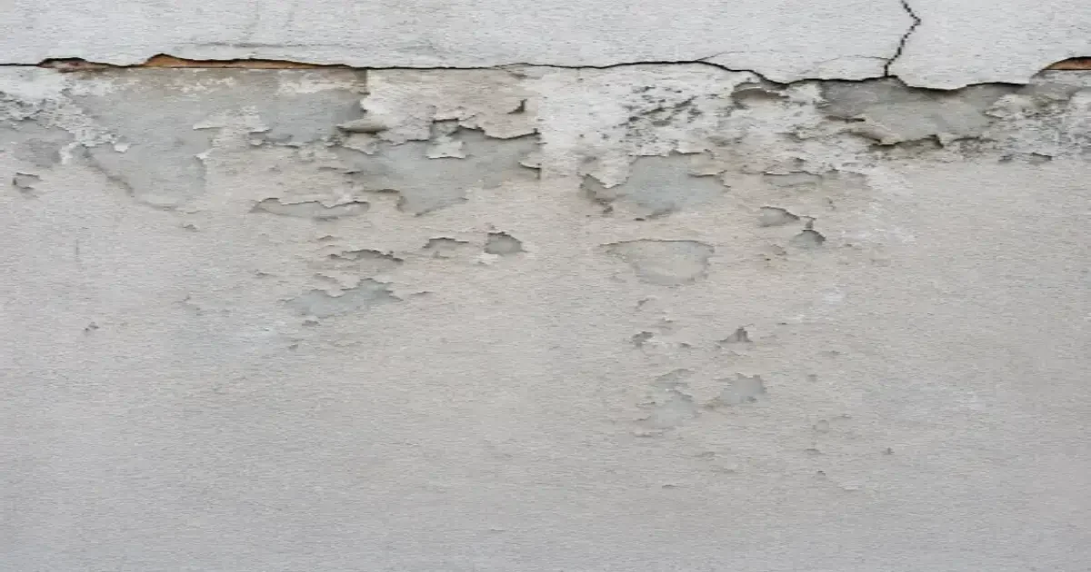penetrating damp Flintshire render peeling property